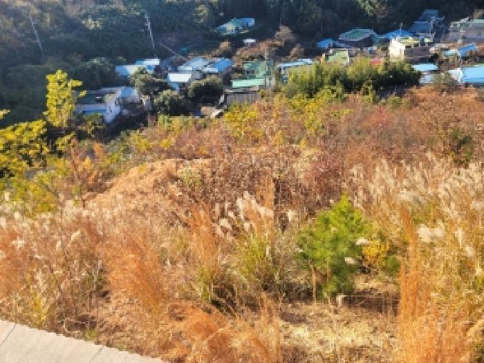 경상남도 통영시 도산면 도선리 산273-13 임야 경매 사진 5