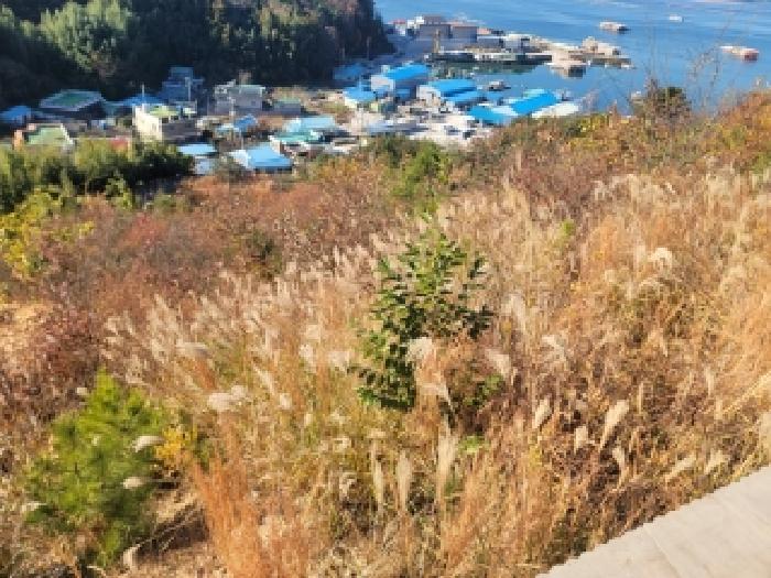 경상남도 통영시 도산면 도선리 산273-13 임야 경매 사진 6