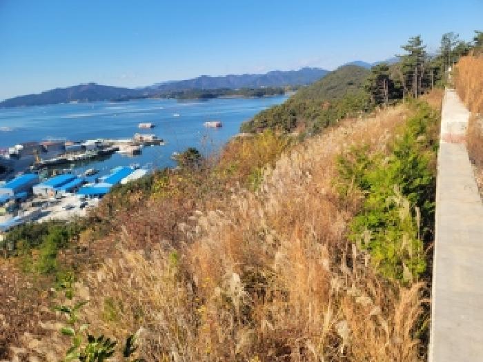 경상남도 통영시 도산면 도선리 산273-13 임야 경매 사진 7