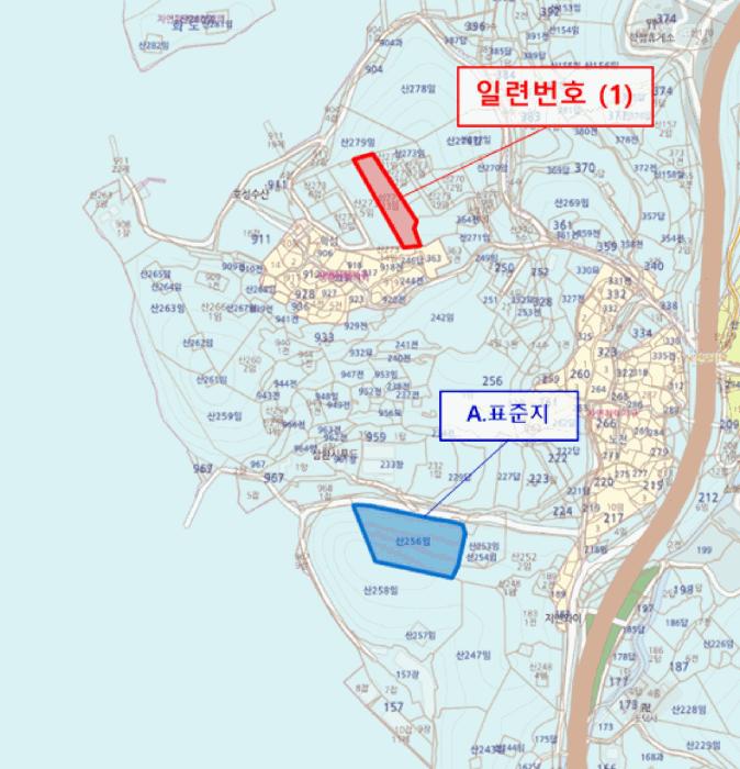 경상남도 통영시 도산면 도선리 산273-13 임야 경매 사진 8