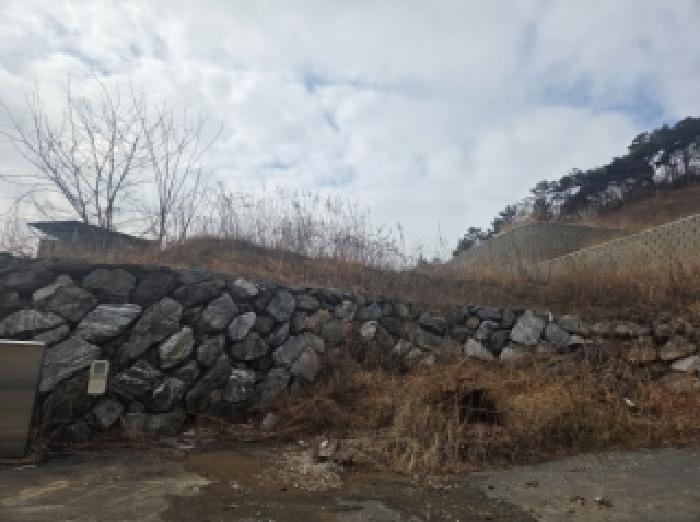 전라남도 순천시 해룡면 남가리 392-12 임야 경매 사진 4