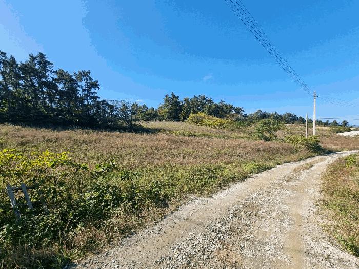 전라남도 목포시 달동 194-1 전 경매 사진 5