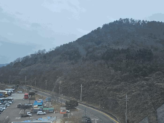 전라남도 여수시 임야