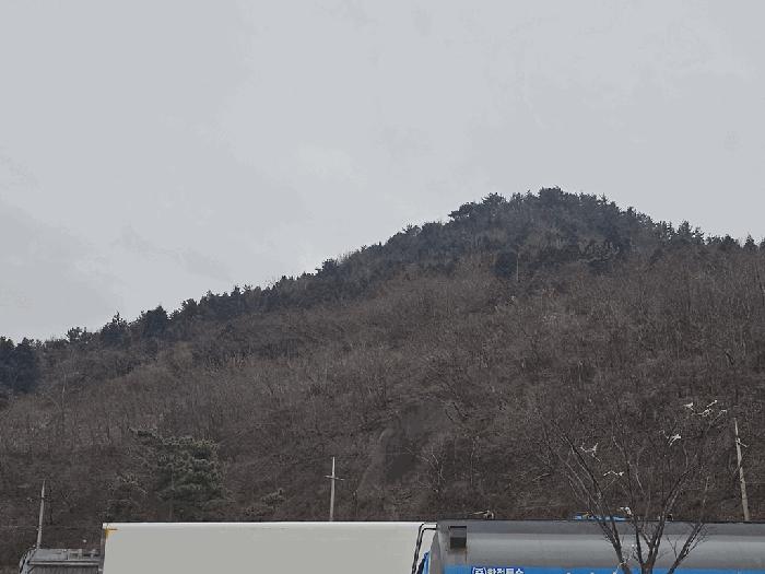 전라남도 여수시 묘도동 518-25 임야 경매 사진 2