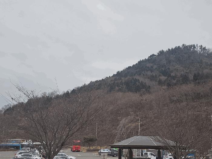 전라남도 여수시 묘도동 518-25 임야 경매 사진 3