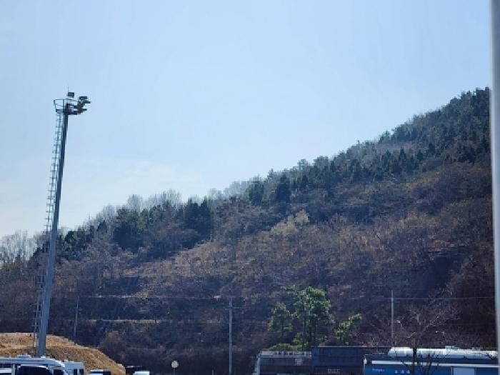전라남도 여수시 묘도동 518-25 임야 경매 사진 4