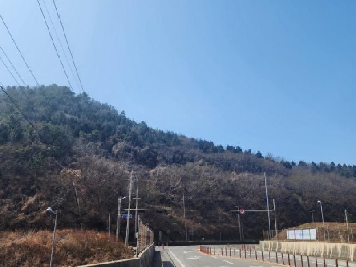 전라남도 여수시 묘도동 518-25 임야 경매 사진 6