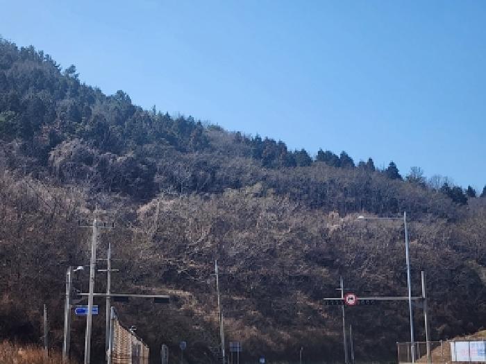 전라남도 여수시 묘도동 518-25 임야 경매 사진 7