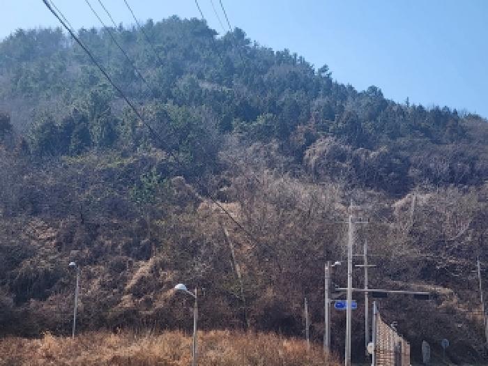 전라남도 여수시 묘도동 518-25 임야 경매 사진 8