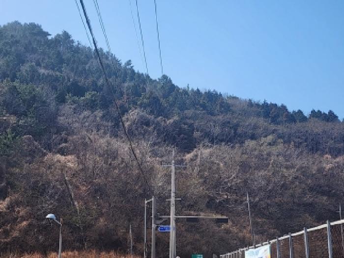 전라남도 여수시 묘도동 518-25 임야 경매 사진 9