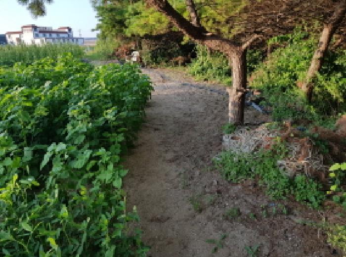 전북특별자치도 부안군 변산면 격포리 271-25 전 경매 사진 13