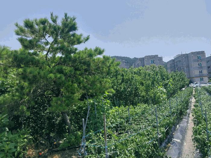 전북특별자치도 부안군 변산면 격포리 271-25 전 경매 사진 9