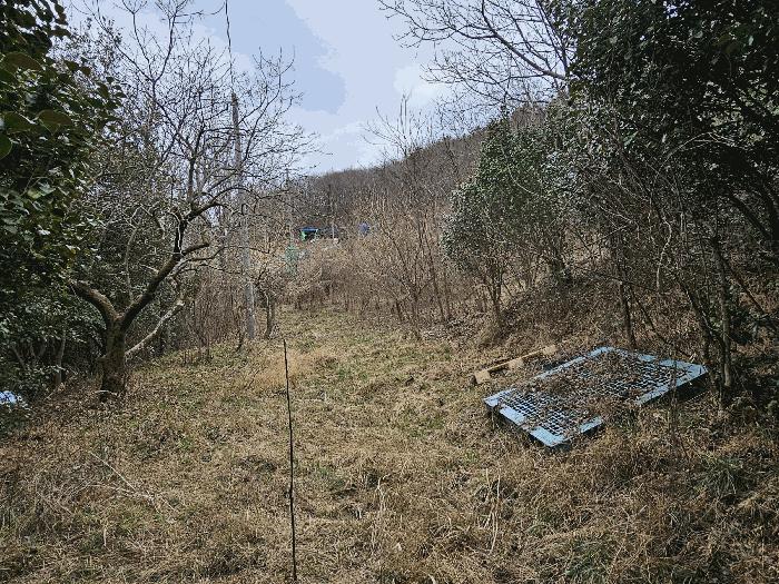 전라남도 순천시 별량면 마산리 677 전 경매 사진 10
