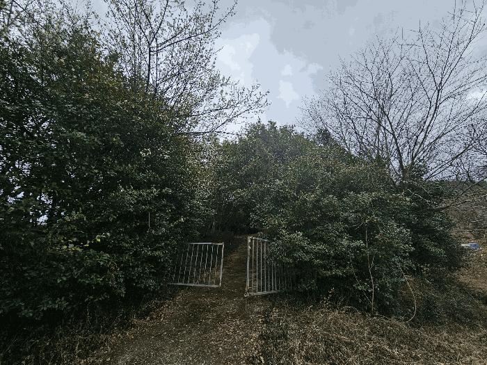 전라남도 순천시 별량면 마산리 677 전 경매 사진 11