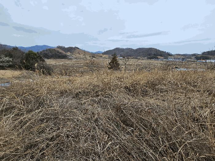 전라남도 순천시 별량면 마산리 677 전 경매 사진 17