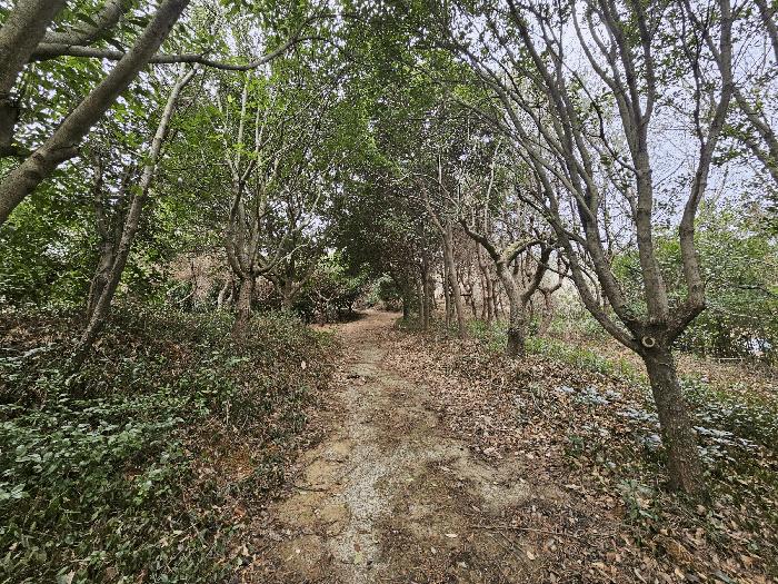 전라남도 순천시 별량면 마산리 677 전 경매 사진 18