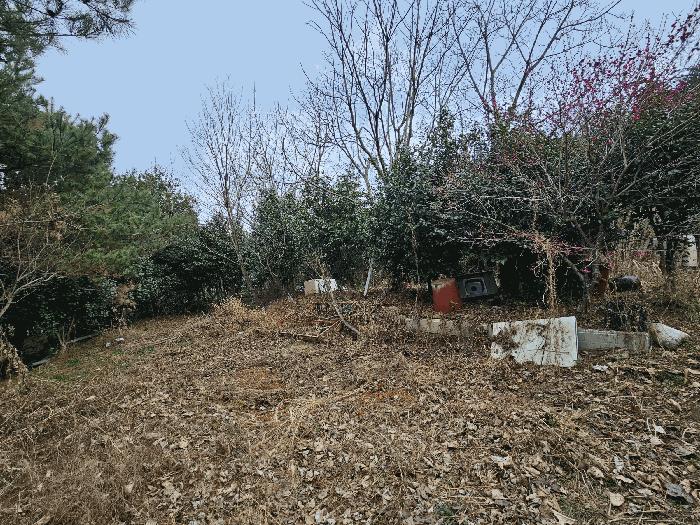 전라남도 순천시 별량면 마산리 677 전 경매 사진 9