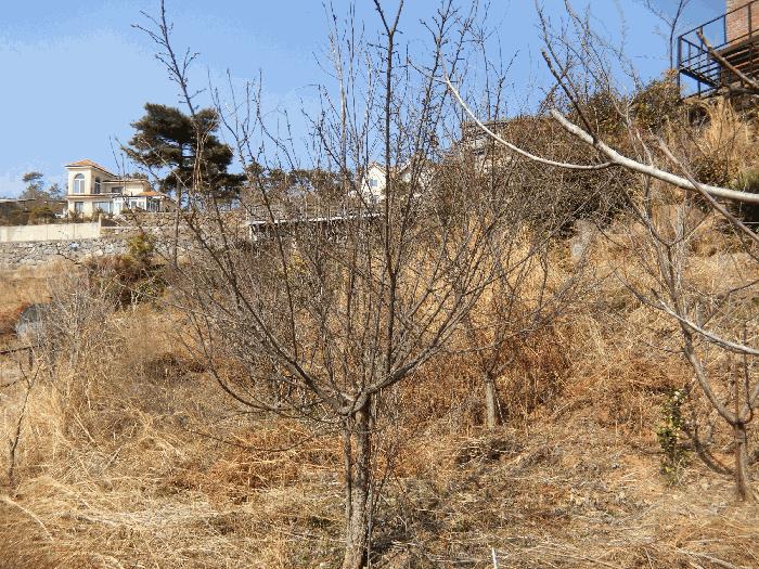 전라남도 순천시 상사면 마륜리 536-3 주택 경매 사진 13