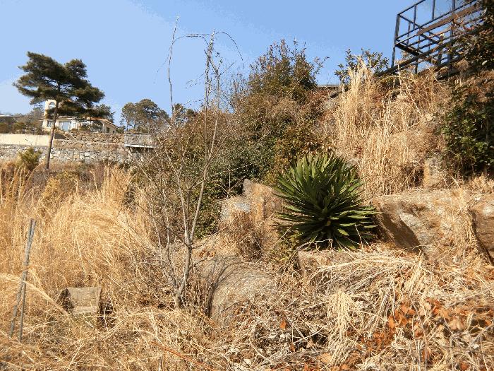 전라남도 순천시 상사면 마륜리 536-3 주택 경매 사진 5