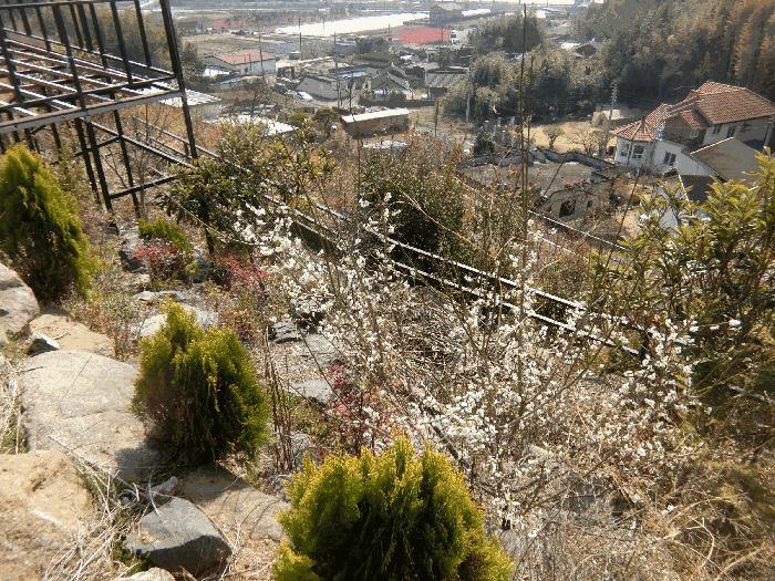 전라남도 순천시 상사면 마륜리 536-3 주택 경매 사진 9