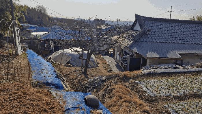 전북특별자치도 정읍시 신태인읍 양괴리 40 전 경매 사진 17