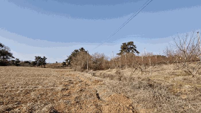 전북특별자치도 정읍시 신태인읍 양괴리 40 전 경매 사진 6