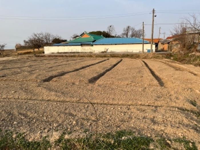 전북특별자치도 정읍시 이평면 평령리 288 답 경매 사진 14