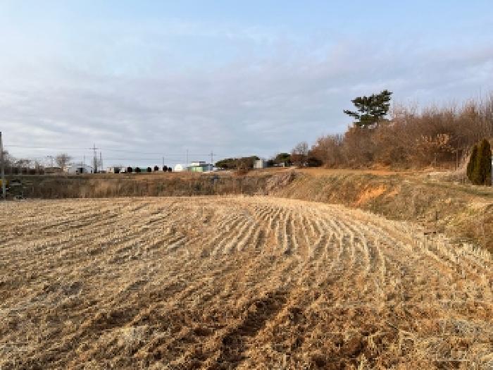 전북특별자치도 정읍시 이평면 평령리 288 답 경매 사진 8