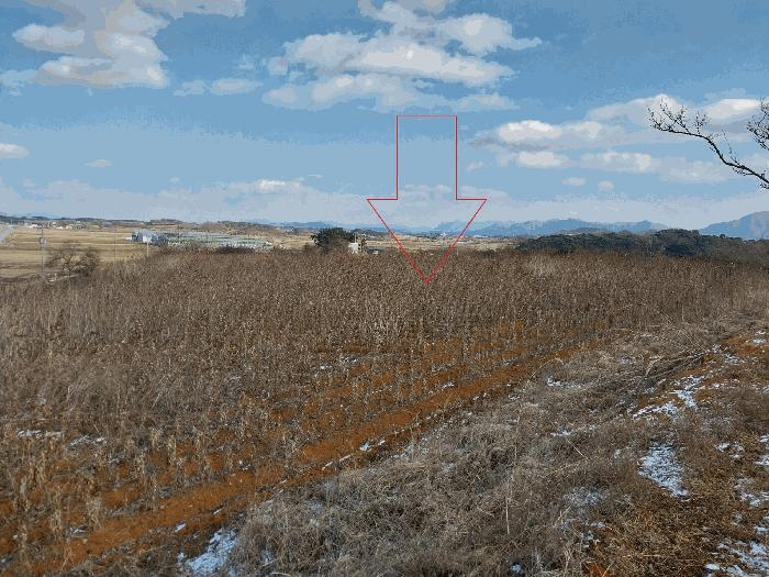 전북특별자치도 고창군 부안면 수동리 302-4 전 경매 사진 2