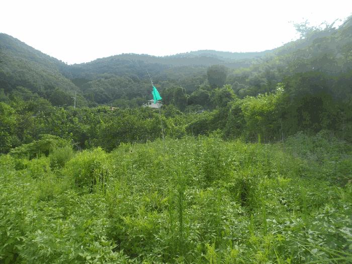 경상남도 거제시 하청면 어온리 299-1 답 경매 사진 1