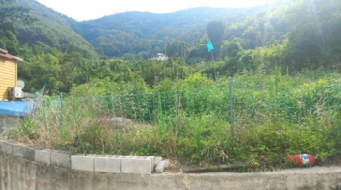 경상남도 거제시 하청면 어온리 299-1 답 경매 사진 15