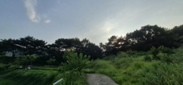 경상남도 고성군 구만면 화림리 1001 답 경매 사진 20