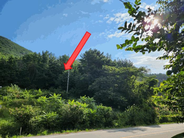 경상남도 고성군 구만면 화림리 1001 답 경매 사진 3