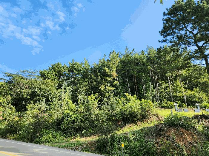 경상남도 고성군 구만면 저연리 476 묘지 경매 사진 8