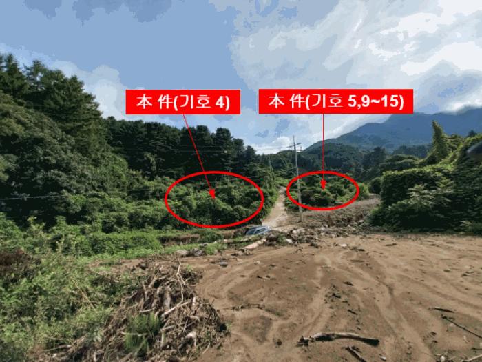 경기도 가평군 조종면 마일리 46 대지 경매 사진 2