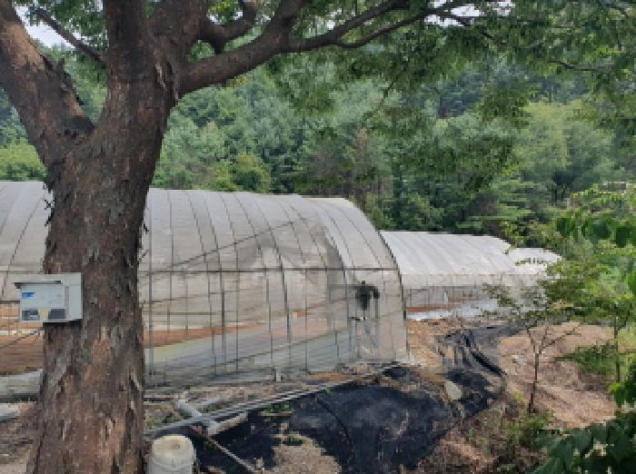 경기도 가평군 조종면 신하리 464 전 경매 사진 10