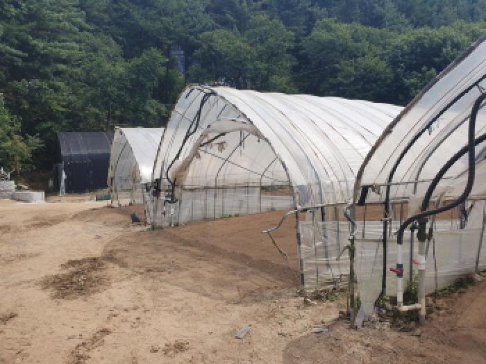 경기도 가평군 조종면 신하리 464 전 경매 사진 16