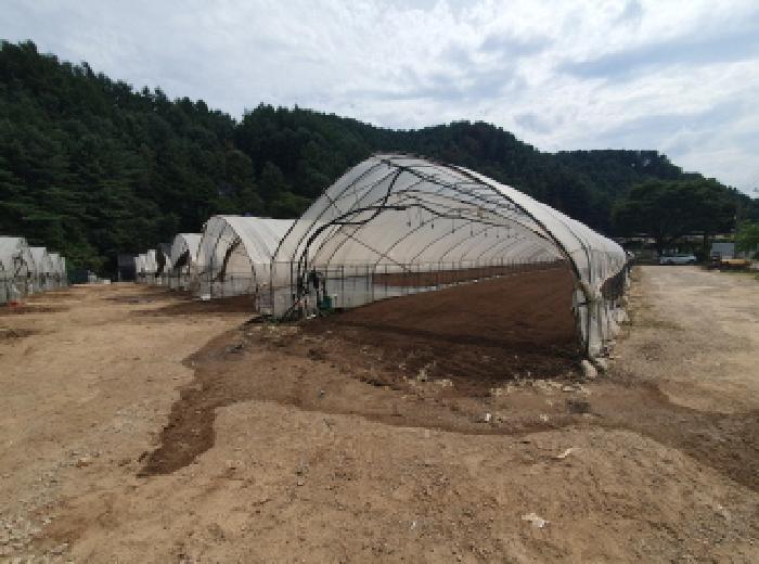 경기도 가평군 조종면 신하리 464 전 경매 사진 18