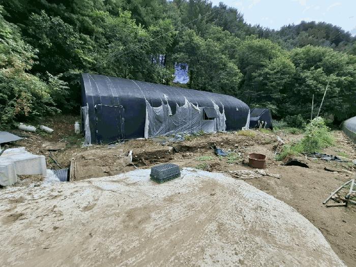 경기도 가평군 조종면 신하리 464 전 경매 사진 4
