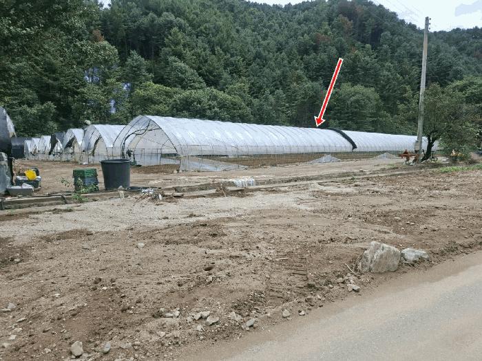 경기도 가평군 조종면 신하리 464 전 경매 사진 5