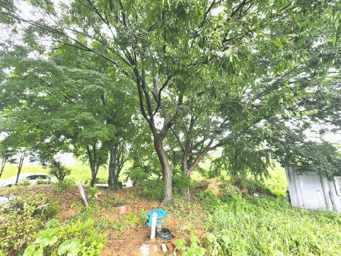 경기도 화성시 장안면 금의리 산34-4 임야 경매 사진 9