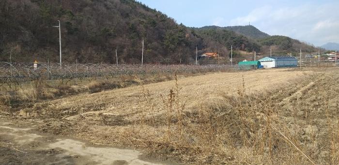 충청북도 영동군 매곡면 노천리 175 답 경매 사진 7