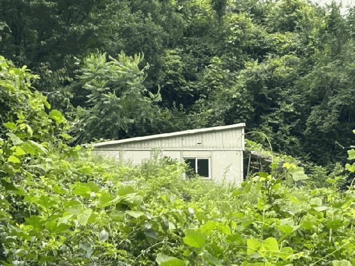 충청북도 옥천군 군북면 증약리 산18-3 임야 경매 사진 5