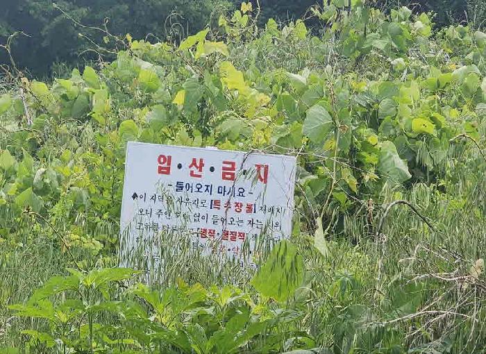 충청북도 옥천군 군북면 증약리 산18-3 임야 경매 사진 7
