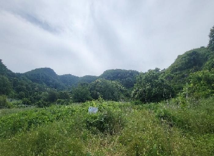 충청북도 옥천군 군북면 증약리 산18-3 임야 경매 사진 8