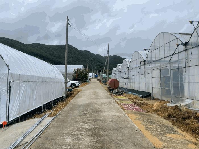 충청북도 영동군 추풍령면 관리 412-5 답 경매 사진 1