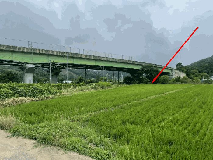 충청북도 영동군 추풍령면 관리 412-5 답 경매 사진 2