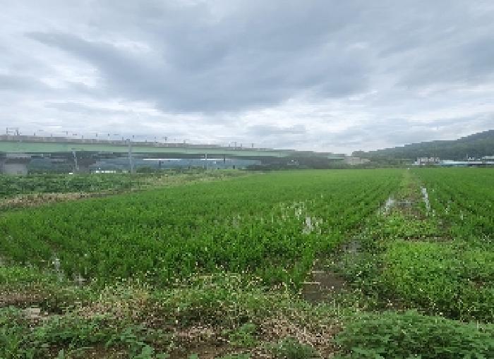 충청북도 영동군 추풍령면 관리 412-5 답 경매 사진 4