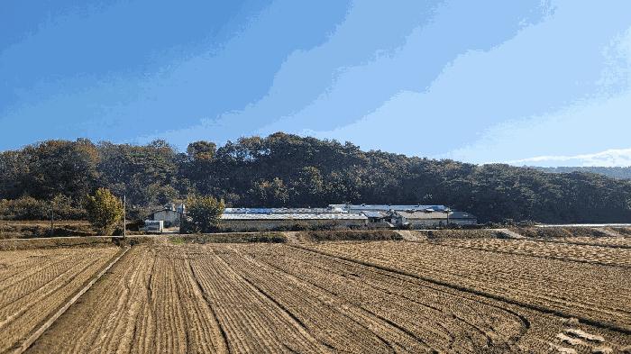 충청남도 홍성군 결성면 형산리 517-12 목장용지 경매 사진 1