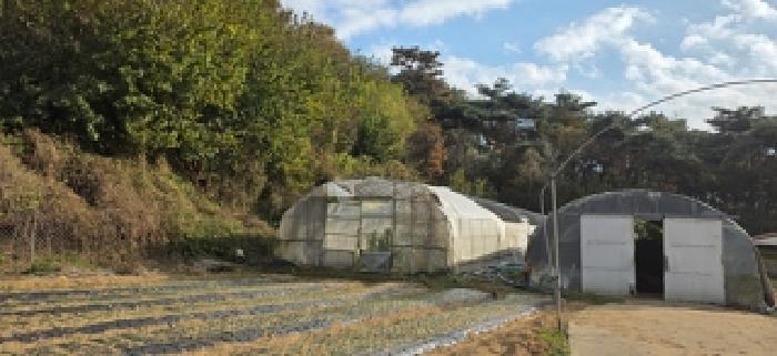 충청남도 홍성군 결성면 형산리 517-12 목장용지 경매 사진 10